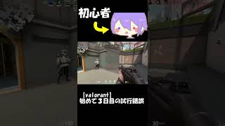 【VALORANT】始めて３日目の試行錯誤