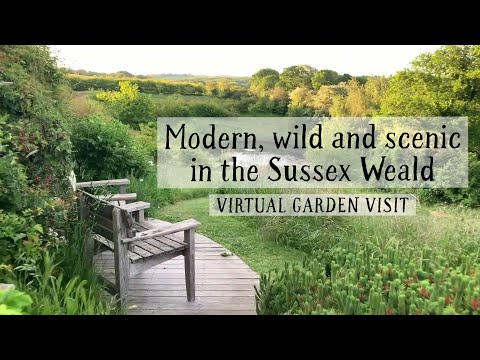 Fairlight End: modern, wild and scenic in the Sussex Weald