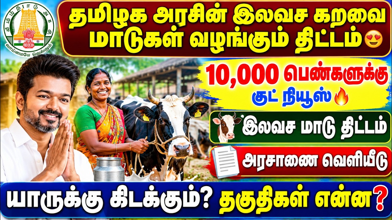 தமிழக அரசின் இலவச கறவை மாடுகள் திட்டம் 2026 😍 | 10,000 பெண்க?
