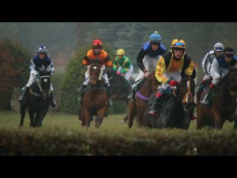 Horse power [Kolesa 7.11.2015]