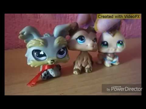 (Markus P) Hula Ula mv lps (special dla wszystkich widzów)