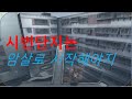 시범단지는 암살이지