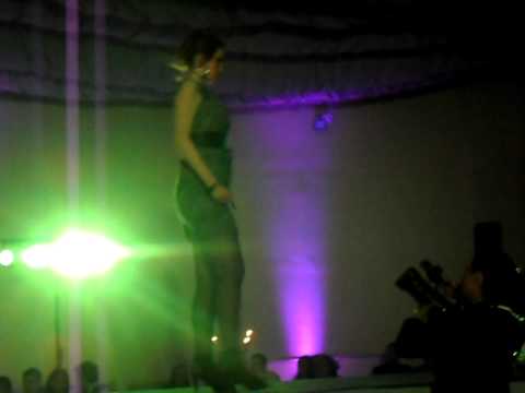 Academia New Style -- animal print