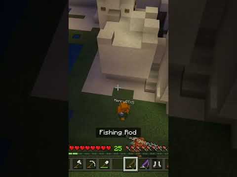 I caught the rarest fish in Minecraft