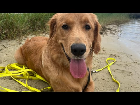 Kammy 3 week training 