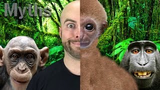 7 MYTHS You Still Believe About EVOLUTION