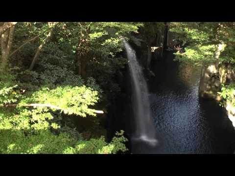 download lagu mp3 mp4 Forrest Falls, download lagu Forrest Falls gratis, unduh video klip Forrest Falls