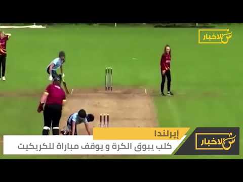 كلب سرق كره في مباراه الكريكيت