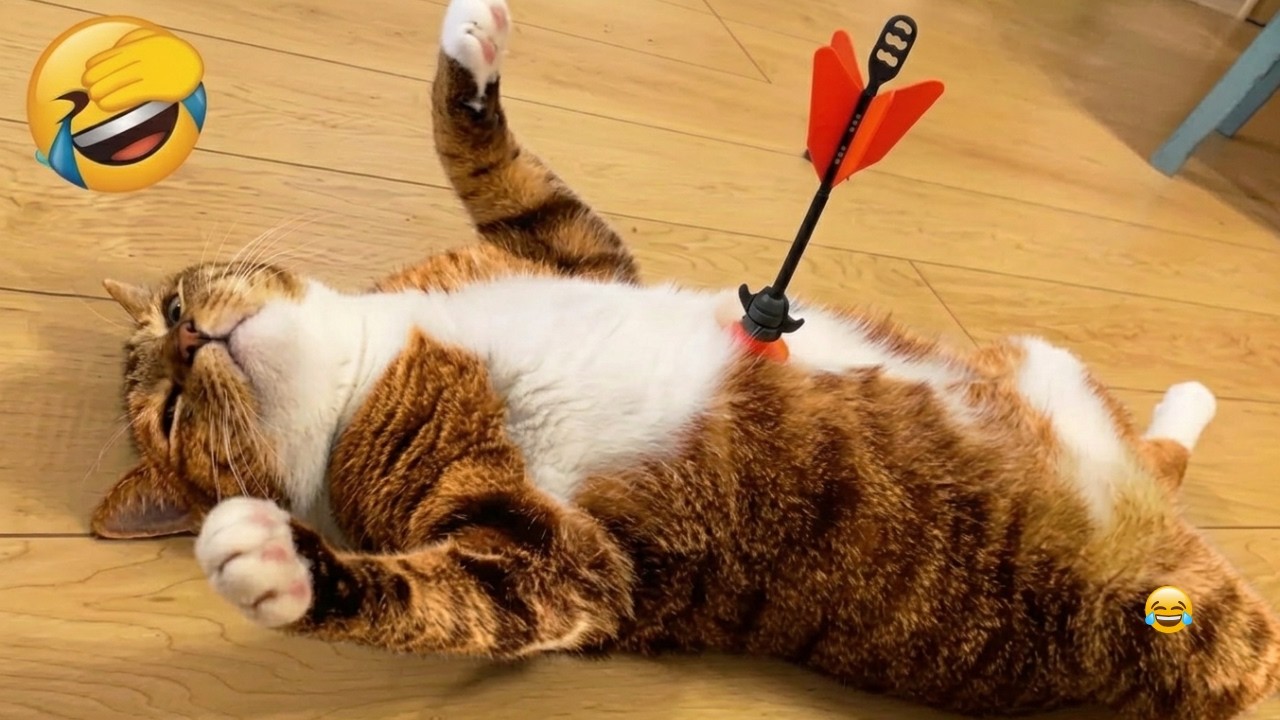 Impossible Not to Laugh at These Crazy Cats 😹 funny cat clips 2026