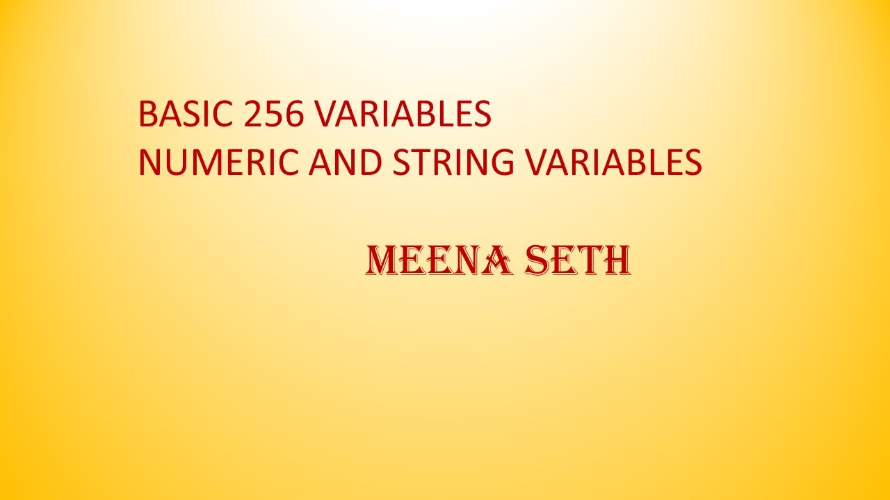 BASIC256 VARIABLES