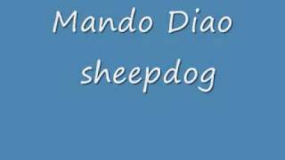 Mando Diao blue lining white trenchcoat
