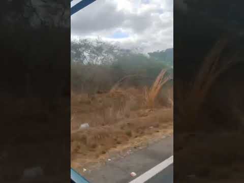 Indo de Pau de Arara de Croatá , São Gonçalo do Amarante-CE pra localização 4 bocas em Paracuru-CE