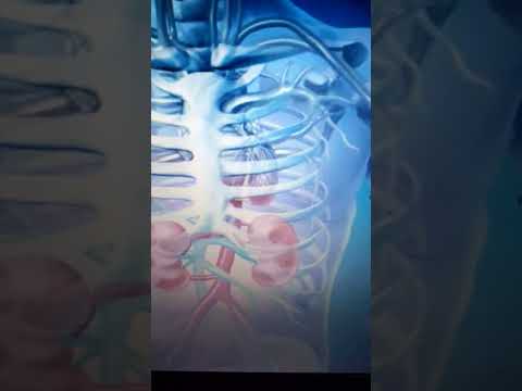 RUKJE E FUQISHME KUNDER PROBLEMEVE NE VESHKA FSHIKEZ URINE URETER KANALE URINARE