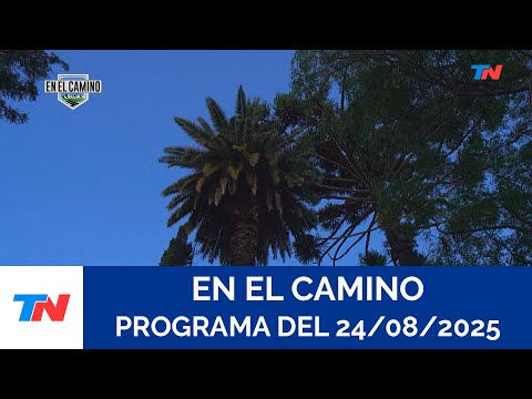 ON THE ROAD I Concepción del Uruguay (Full program from 08/24/2025)