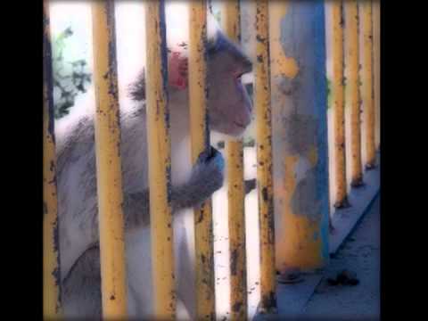 Hanuman  by InTo - The Movie