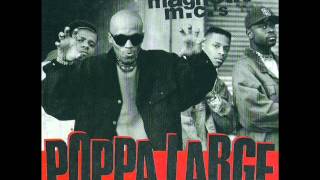 Ultramagnetic MC&#39;s - Poppa Large (East Coast Mix)