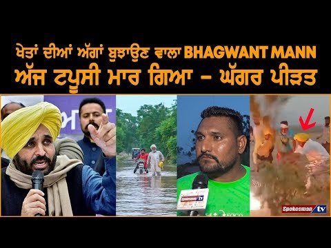 bhagwant mann who Extinguish from fire in field, are fails to help ghaggar lake flood victim