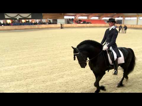 Walt 487 Centraal Onderzoek 2015