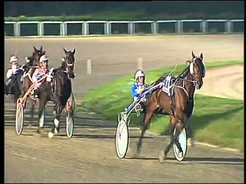 Trotto 05/11/2015 - 6° corsa