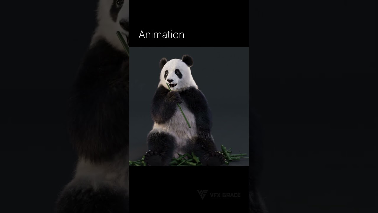 Panda Animation | Blender 3D Models #animation #rig #blender #model #3D #character #realistic
