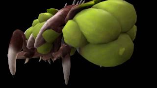 preview picture of video 'Zerg Baneling : Starcraft 2 : Spore : Creature'