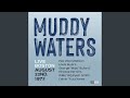 Slow Blues Instrumental - Muddy Intros Band (Live Boston August 22nd.1972 - Restauración 2024)
