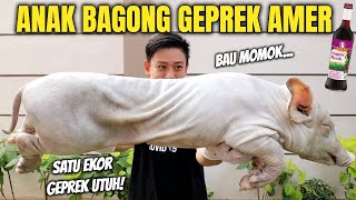 Download lagu BABY PIG MUKBANG. SOFT MEAT WITH CHEWY TAILS mp3 Download lagu BABY PIG MUKBANG. SOFT MEAT WITH CHEWY TAILS mp3