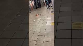 Man lights newspapers on fire in New York subway, throws at school kids