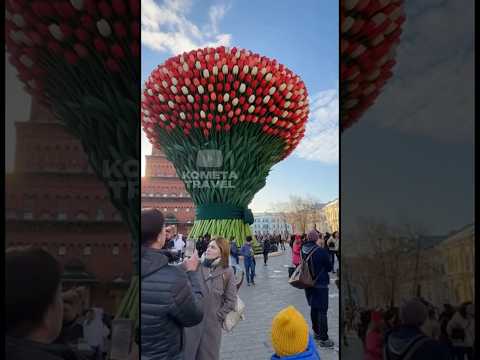 Гиганский букет высотой 25 метров в Казани