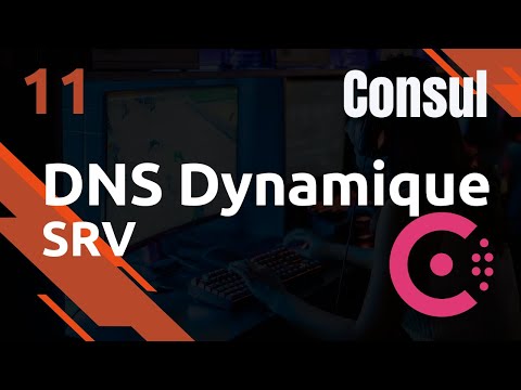 CONSUL 11 SOURCE DE DNS SRV