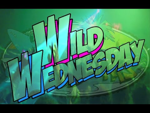 Horses and Chariots of Fire