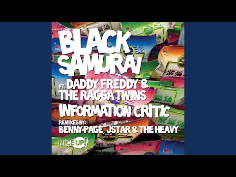Information Critic (The Heavy Remix) (feat. Daddy Freddy & The Ragga Twins)