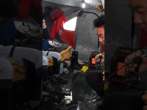 Ice Fishing Big Walleye Morning Bite