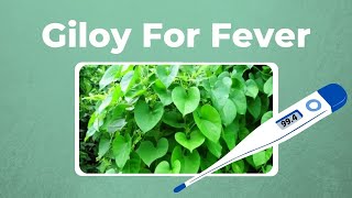 Heres How You Can Make Giloy Kadha For Fever