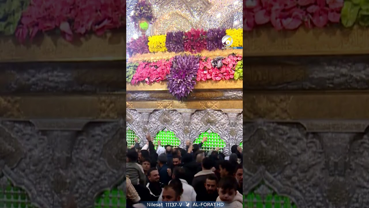 فيديو | كربلاء المقدسة تحتفي بالمواليد الشعبانية المباركة