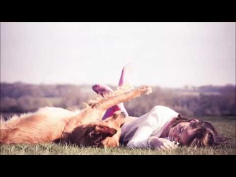 Summer Never Ends 003 Progressive House Mix The All warm and fuzzy inside Edition