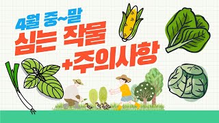 4월 중순~말 심기 좋은 작물! 프로텃밭러 필수 시청! | 농사 100단