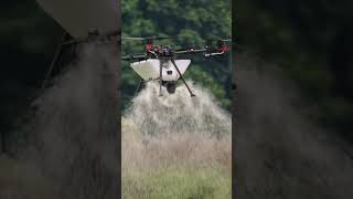 Nem tudo são Flores no mundo dos drones.