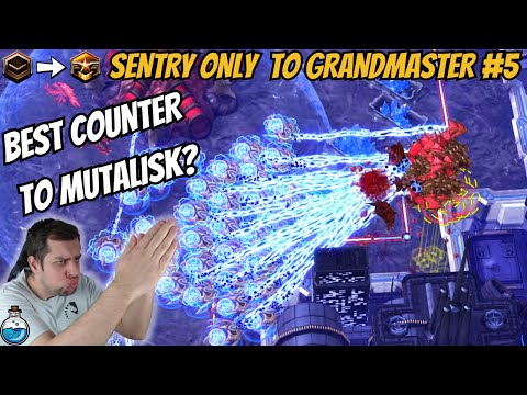 Ever seen MASS MUTA RUN from Sentries? | Sentry Only to Grandmaster #5 StarCraft 2