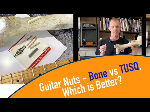 Guitar Nuts - Bone Nut vs TUSQ, Which is Better?