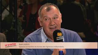 Stop Intox - Vin : un patrimoine à protéger et à développer