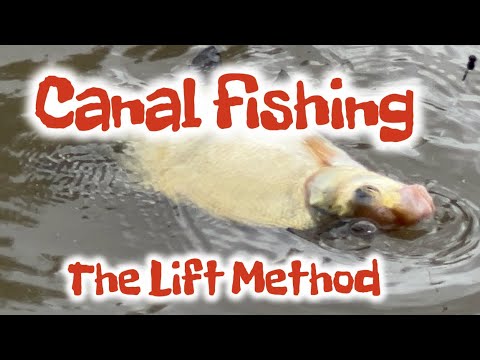 How to float fish on the canal / lift method / canal fishing