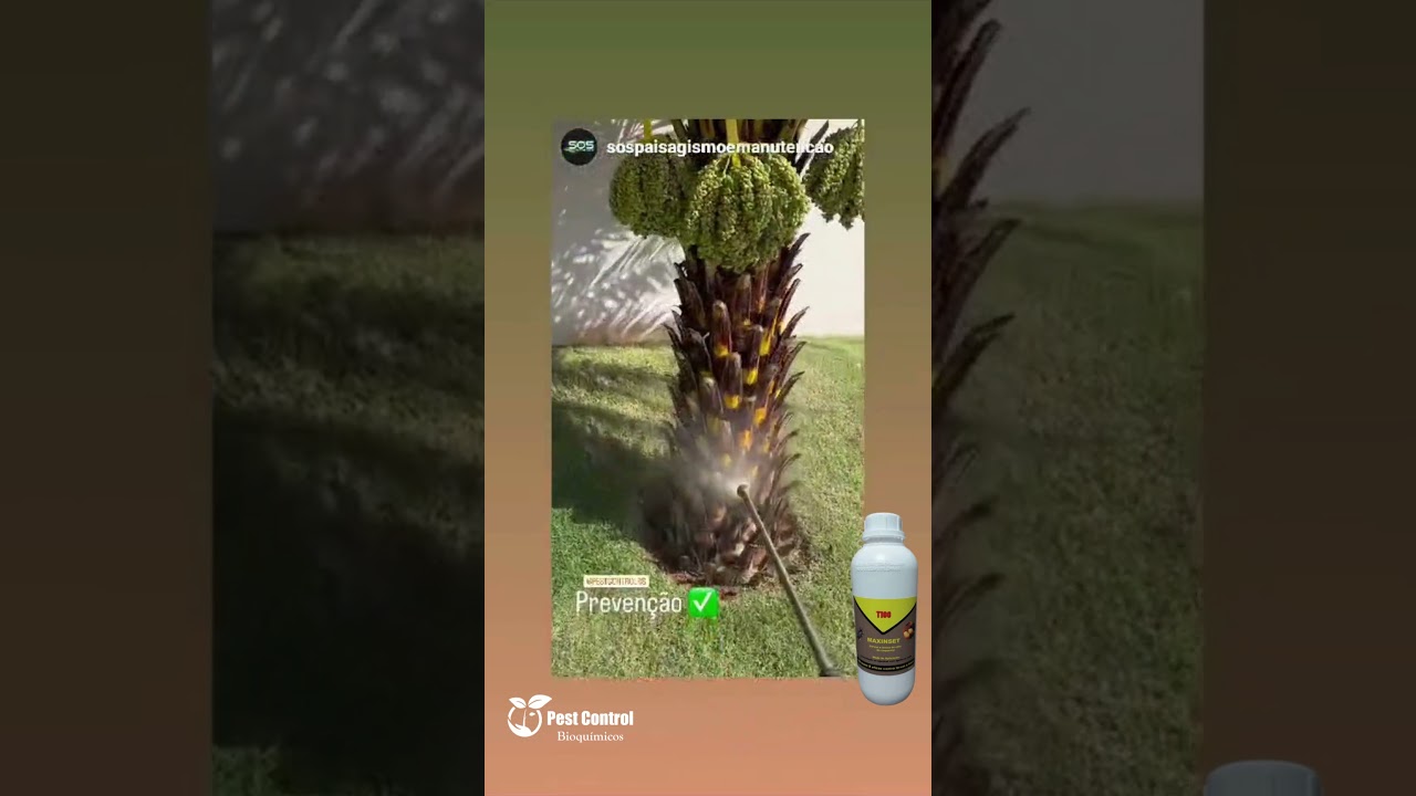 Vídeo do produto