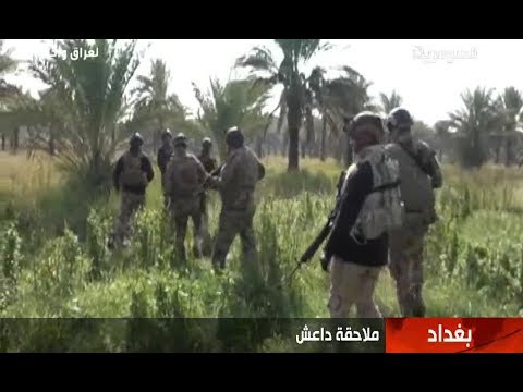 شاهد بالفيديو.. الحشد يدخل مملكة الزرقاوي في ديالى - نشرة اخبار السومرية المساء ٢٢ شباط ٢٠١٩