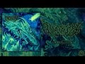 MYCONITH ENVIROGLUTTON OFFICIAL EP STREAM 2015 SW EXCLUSIVE