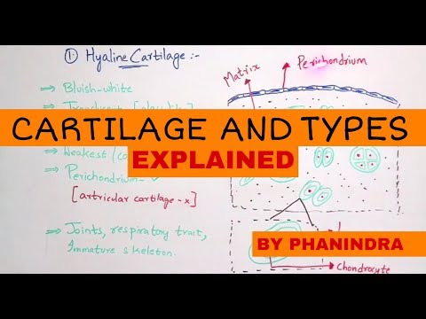 Inter 2nd year SYNAPTIC TRANSMISSION ZOOLOGY