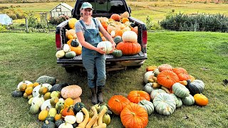 I Grew a Shocking Amount of Squash in My Northern Garden | Tips for Growing the Best Squash