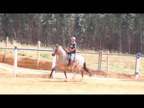 LOTE 01   Cairo da Micaela