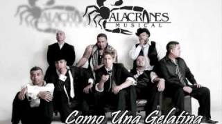 Alacranes Musical ft Espinoza Paz  - Como Una Gelatina - [completa] Estreno 2009