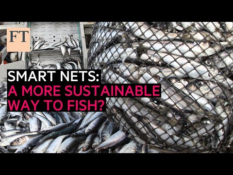 用更智能的网游走以实现可持续的未来（Trawling for a sustainable future with smarter nets | FT Food Revolution）